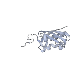 12695_7o1c_AI_v1-2
Cryo-EM structure of an Escherichia coli TnaC(R23F)-ribosome-RF2 complex stalled in response to L-tryptophan