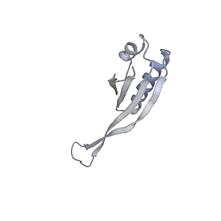 12695_7o1c_AJ_v1-2
Cryo-EM structure of an Escherichia coli TnaC(R23F)-ribosome-RF2 complex stalled in response to L-tryptophan