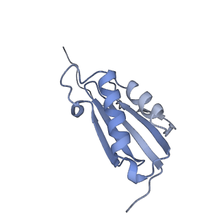 12695_7o1c_AK_v1-2
Cryo-EM structure of an Escherichia coli TnaC(R23F)-ribosome-RF2 complex stalled in response to L-tryptophan