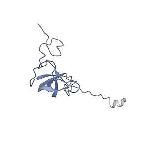 12695_7o1c_AL_v1-2
Cryo-EM structure of an Escherichia coli TnaC(R23F)-ribosome-RF2 complex stalled in response to L-tryptophan