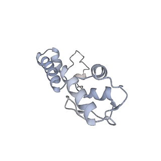 12695_7o1c_AM_v1-2
Cryo-EM structure of an Escherichia coli TnaC(R23F)-ribosome-RF2 complex stalled in response to L-tryptophan