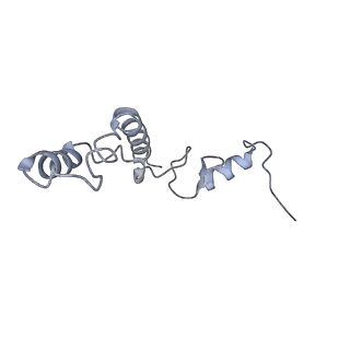 12695_7o1c_AN_v1-2
Cryo-EM structure of an Escherichia coli TnaC(R23F)-ribosome-RF2 complex stalled in response to L-tryptophan