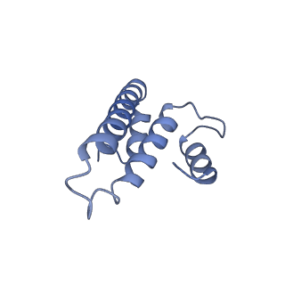 12695_7o1c_AO_v1-2
Cryo-EM structure of an Escherichia coli TnaC(R23F)-ribosome-RF2 complex stalled in response to L-tryptophan
