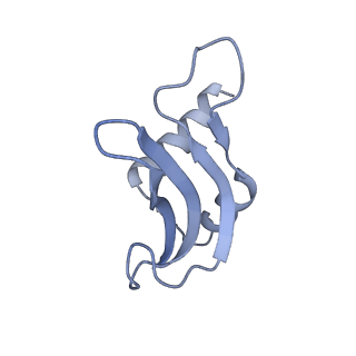 12695_7o1c_AP_v1-2
Cryo-EM structure of an Escherichia coli TnaC(R23F)-ribosome-RF2 complex stalled in response to L-tryptophan