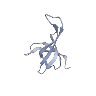 12695_7o1c_AQ_v1-2
Cryo-EM structure of an Escherichia coli TnaC(R23F)-ribosome-RF2 complex stalled in response to L-tryptophan
