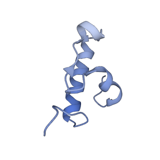 12695_7o1c_AR_v1-2
Cryo-EM structure of an Escherichia coli TnaC(R23F)-ribosome-RF2 complex stalled in response to L-tryptophan