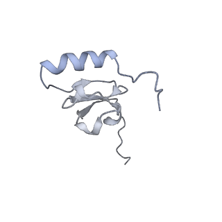12695_7o1c_AS_v1-2
Cryo-EM structure of an Escherichia coli TnaC(R23F)-ribosome-RF2 complex stalled in response to L-tryptophan