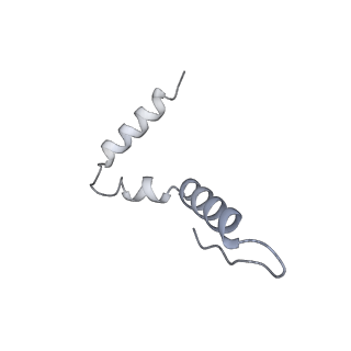 12695_7o1c_AU_v1-2
Cryo-EM structure of an Escherichia coli TnaC(R23F)-ribosome-RF2 complex stalled in response to L-tryptophan