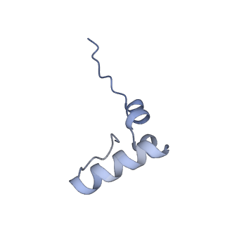 12695_7o1c_B2_v1-2
Cryo-EM structure of an Escherichia coli TnaC(R23F)-ribosome-RF2 complex stalled in response to L-tryptophan