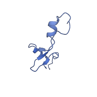 12695_7o1c_B3_v1-2
Cryo-EM structure of an Escherichia coli TnaC(R23F)-ribosome-RF2 complex stalled in response to L-tryptophan