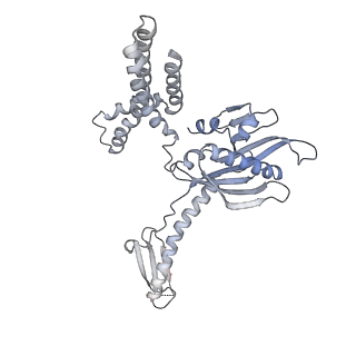 12695_7o1c_B9_v1-2
Cryo-EM structure of an Escherichia coli TnaC(R23F)-ribosome-RF2 complex stalled in response to L-tryptophan