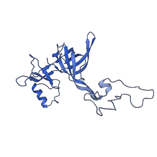 12695_7o1c_BD_v1-2
Cryo-EM structure of an Escherichia coli TnaC(R23F)-ribosome-RF2 complex stalled in response to L-tryptophan