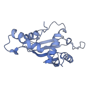 12695_7o1c_BF_v1-2
Cryo-EM structure of an Escherichia coli TnaC(R23F)-ribosome-RF2 complex stalled in response to L-tryptophan