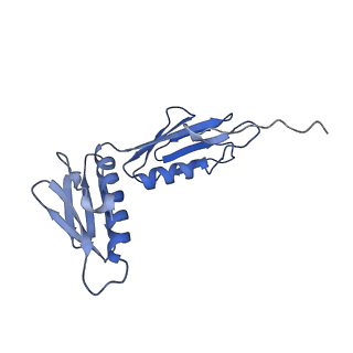 12695_7o1c_BG_v1-2
Cryo-EM structure of an Escherichia coli TnaC(R23F)-ribosome-RF2 complex stalled in response to L-tryptophan