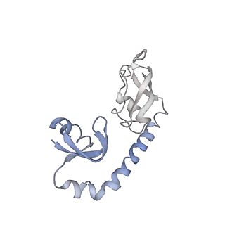 12695_7o1c_BH_v1-2
Cryo-EM structure of an Escherichia coli TnaC(R23F)-ribosome-RF2 complex stalled in response to L-tryptophan