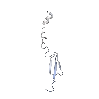 12695_7o1c_BI_v1-2
Cryo-EM structure of an Escherichia coli TnaC(R23F)-ribosome-RF2 complex stalled in response to L-tryptophan