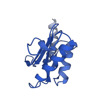 12695_7o1c_BO_v1-2
Cryo-EM structure of an Escherichia coli TnaC(R23F)-ribosome-RF2 complex stalled in response to L-tryptophan
