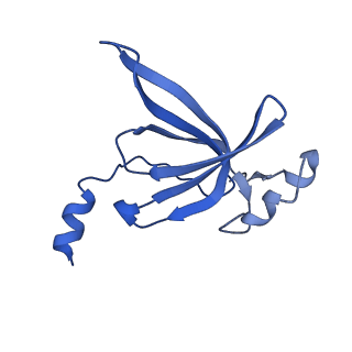 12695_7o1c_BP_v1-2
Cryo-EM structure of an Escherichia coli TnaC(R23F)-ribosome-RF2 complex stalled in response to L-tryptophan