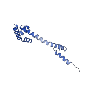 12695_7o1c_BQ_v1-2
Cryo-EM structure of an Escherichia coli TnaC(R23F)-ribosome-RF2 complex stalled in response to L-tryptophan