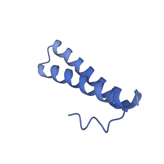 12695_7o1c_BY_v1-2
Cryo-EM structure of an Escherichia coli TnaC(R23F)-ribosome-RF2 complex stalled in response to L-tryptophan