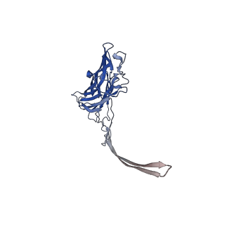 12696_7o1q_B_v1-2
Amyloid beta oligomer displayed on the alpha hemolysin scaffold