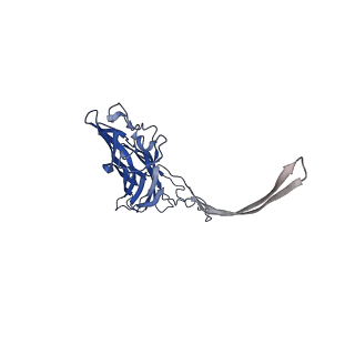 12696_7o1q_C_v1-2
Amyloid beta oligomer displayed on the alpha hemolysin scaffold