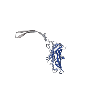 12696_7o1q_F_v1-2
Amyloid beta oligomer displayed on the alpha hemolysin scaffold