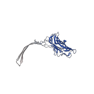 12696_7o1q_G_v1-2
Amyloid beta oligomer displayed on the alpha hemolysin scaffold
