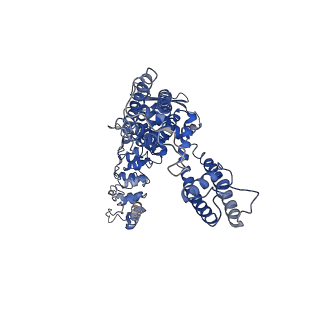 0607_6o20_A_v1-3
Cryo-EM structure of TRPV5 with calmodulin bound