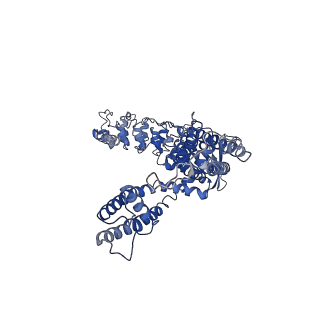 0607_6o20_B_v1-4
Cryo-EM structure of TRPV5 with calmodulin bound