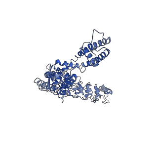 0607_6o20_D_v1-3
Cryo-EM structure of TRPV5 with calmodulin bound
