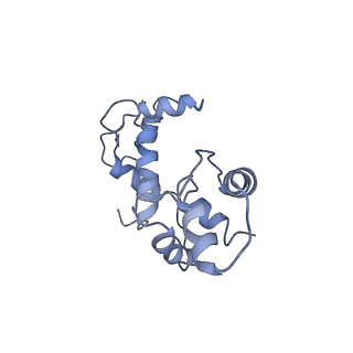 0607_6o20_F_v1-3
Cryo-EM structure of TRPV5 with calmodulin bound
