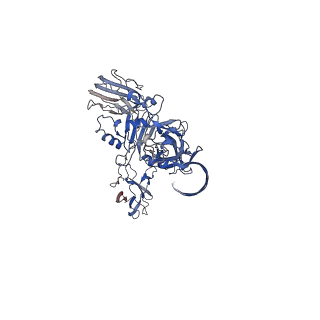 0609_6o2n_A_v1-3
CDTb Double Heptamer Short Form Modeled from Cryo-EM Map Reconstructed using C7 Symmetry