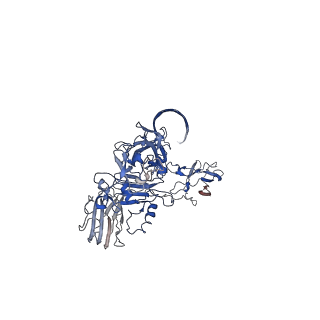 0609_6o2n_D_v1-2
CDTb Double Heptamer Short Form Modeled from Cryo-EM Map Reconstructed using C7 Symmetry