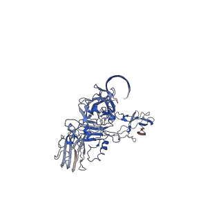 0609_6o2n_D_v1-3
CDTb Double Heptamer Short Form Modeled from Cryo-EM Map Reconstructed using C7 Symmetry