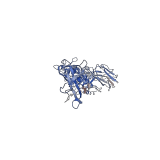 0609_6o2n_K_v1-3
CDTb Double Heptamer Short Form Modeled from Cryo-EM Map Reconstructed using C7 Symmetry