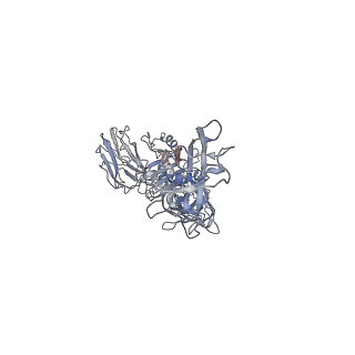 0610_6o2o_C_v1-3
CDTb Double Heptamer Short Form Modeled from Cryo-EM Map Reconstructed using C1 Symmetry