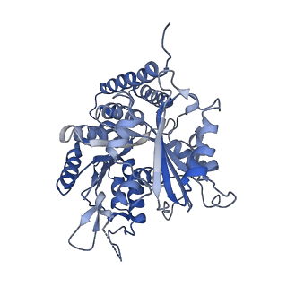 0612_6o2q_A_v1-2
Acetylated Microtubules