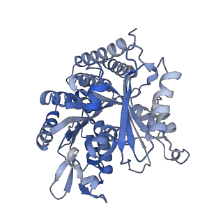 0612_6o2q_B_v1-2
Acetylated Microtubules