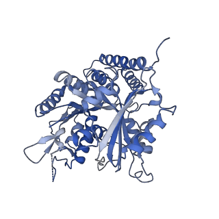 0612_6o2q_C_v1-2
Acetylated Microtubules