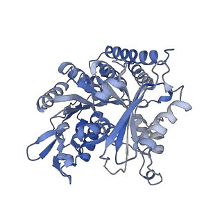 0612_6o2q_D_v1-2
Acetylated Microtubules