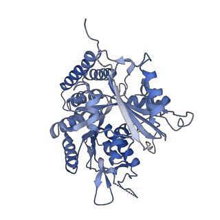 0612_6o2q_E_v1-3
Acetylated Microtubules