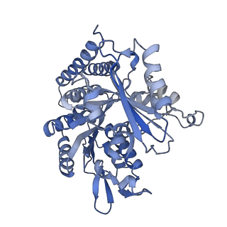 0612_6o2q_F_v1-3
Acetylated Microtubules