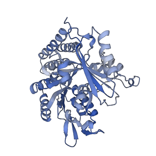 0612_6o2q_G_v1-2
Acetylated Microtubules
