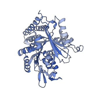 0612_6o2q_G_v1-3
Acetylated Microtubules