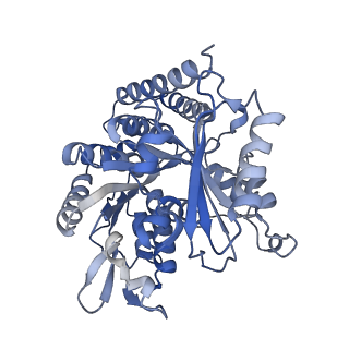 0612_6o2q_H_v1-2
Acetylated Microtubules