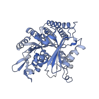 0612_6o2q_I_v1-3
Acetylated Microtubules