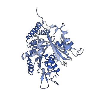 0612_6o2q_J_v1-3
Acetylated Microtubules