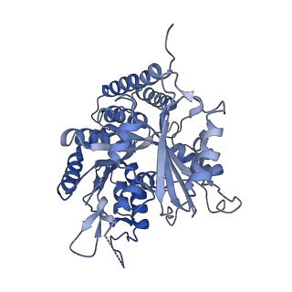 0612_6o2q_K_v1-3
Acetylated Microtubules