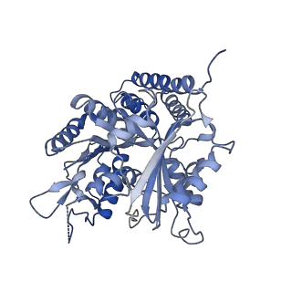 0612_6o2q_L_v1-3
Acetylated Microtubules